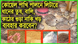 কোয়েল পাখি ঘরে পালন করতে চাইলে লিটারে কি ব্যবহার করবেন  Quail Farming  Koyel pakhi palon [upl. by Nnaeiram403]