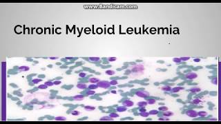 Chronic myeloid leukemia Pathogenesis Staging and periheral blood findings [upl. by Baptista]