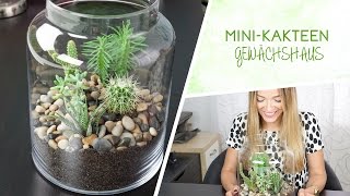 MiniKakteen Terrarium DIY [upl. by Ignacius]