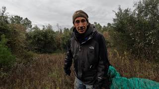 HORRIBLE DAY FOR THE LAST OLIVE HARVEST [upl. by Oecam]