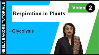 Respiration in Plants  NEET  Glycolysis  Neela Bakore Tutorials [upl. by Alol994]