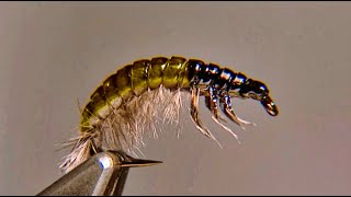 Oliver Edwards Tying the Hydropsyche Larva Fly Pattern [upl. by Anivlis]