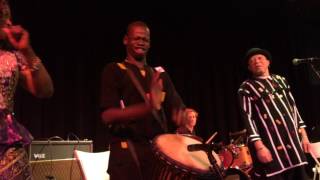 The Djembe Drummer at Salif Keitas Concert [upl. by Enytsuj]