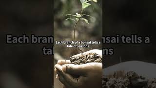 【BONSAI30 1430】A Single Branch Tells a Story History Nature Branch Growth Philosophy [upl. by Doak]