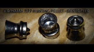 CROSMAN 177 HUNTING PELLET  DESTROYER TESTED WITH CROSMAN 1701P [upl. by Scheck]