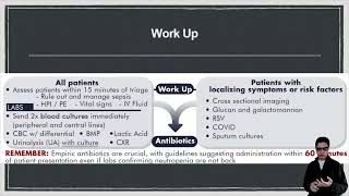 Febrile Neutropenia [upl. by Siskind]