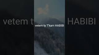 Habibi Albanian remix [upl. by Coralyn]