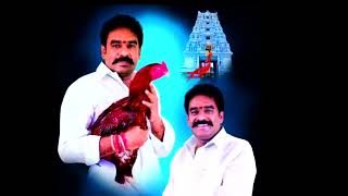 pinnelli ramakrishna reddy new song bhali bhali [upl. by Nich711]