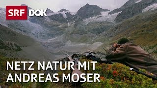 Die Schweiz und die Jagd  NETZ NATUR mit Andreas Moser  DOK  SRF Wissen [upl. by Phillis]