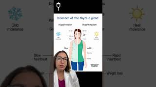 Thyroid Disorders Medical Surgical SHORT  LevelUpRN [upl. by Salesin866]