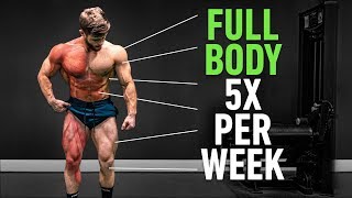 Full Body 5x Per Week Why High Frequency Training Is So Effective [upl. by Assenav]