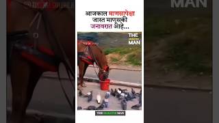 आजकाल माणसापेक्षा जास्त New WhatsApp status video 2024 ll Marathi Motivational video 2024 status [upl. by Nikolai]