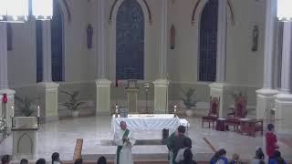 November 5 2024 at 800 am Catholic Mass from St Philip in Vacherie LA [upl. by Burg]