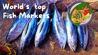 Exploring Fiji Islands Visiting popular Suva Fish Market [upl. by Messere]