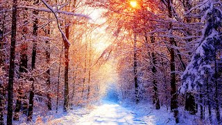 🔥Beautiful Snow Scene  Winter Scene  Relaxing Piano Sleep Music Meditation Study amp Spa Music 31 [upl. by Nedry]