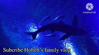 Sevilla Aquarium with Holten family [upl. by Yrotciv983]