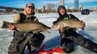 DOUBLED UP on HUGE Milwaukee Harbor BROWN TROUT [upl. by Ebba]