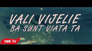 Vali Vijelie  Ba sunt viata ta lyric video [upl. by Hartmann325]