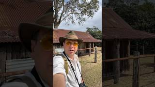 HIDDEN SLAB HUT in Samford Valley [upl. by Pepillo391]