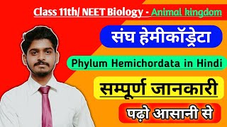 जंतु जगत  संघ हेमीकॉड्रेटा  Phylum hemichordata class 11 biology in hindi [upl. by Enilarac915]