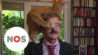 BLOOPER Kat springt op schouders baasje tijdens tvinterview Nieuwsuur [upl. by Viglione]