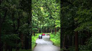 Sulthan Bathery Pulpally road is a Feeling ❤️🌿 Refreshing forest way 🍃💘 shorts travel roadtrip [upl. by Aicak]