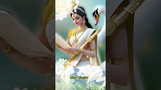 Saraswati mata  Saraswati mata ki aarti shorts viral youtubeshorts [upl. by Nawud]