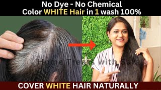 I Apply it on My White Hair amp see the Magic  How to Color White Hair at Home Naturally 1 Wash [upl. by Shriner601]