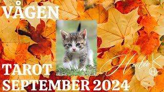 Vågen ♎️ September 2024 Tarot  Healer K [upl. by Oicelem]