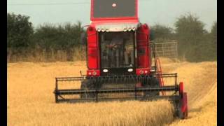 Massey Ferguson Activa 7244 combine [upl. by Stanislaus]