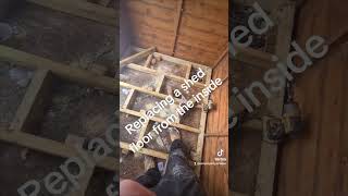 Replacing a shed floor and supporting base from inside [upl. by Riorsson]