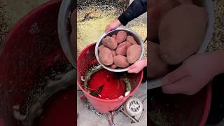 farmingsatisfying agriculture shortfeed ytshortsvideo2022trending [upl. by Nnor]