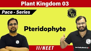 Plant Kingdom 03  Pteridophyte  Class 11  NEET  PACE SERIES [upl. by Nylisoj124]