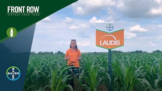 The Front Row Meet Laudis® The Corn Herbicide Youve Been Looking For [upl. by Garratt]