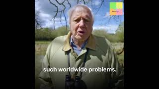 Sir David Attenboroughs Message  Climate Change [upl. by Thordis]