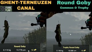 Fishing Planet GhentTerneuzen Canal Netherlands Round Goby Common amp trophy [upl. by Sakovich]