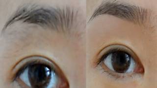 How I Groom amp Shape My Eyebrows ♥ [upl. by Kenwood942]