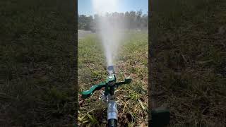 Sprinkler ASMR Watering after I just dethatched aerated and overseeded lawncare landscaping [upl. by Novehs]