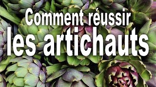 Comment réussir les artichauts [upl. by Eilyk838]