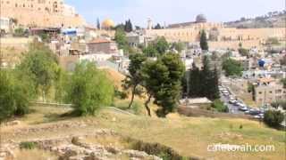 Gallicantu Jerusalem [upl. by Yasmeen170]