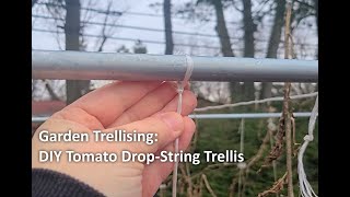 Garden Trellising DIY Tomato DropString Trellis [upl. by Enrique]