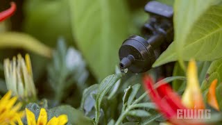 How To install A Drip Irrigation System [upl. by Mahan]