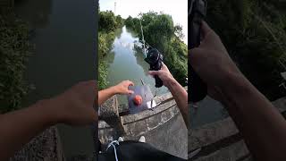 Learn carefully how to set up and fishing by automatic fishing rod and reelfishinggear fishing [upl. by Rikahs]