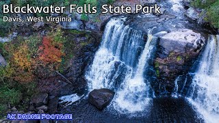 Blackwater Falls State Park [upl. by Pantheas]