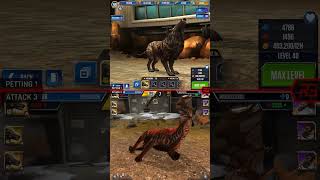 HYAENODON ALL EVOLUTION amp HYAENODON ALL ANIMATION  Jurassic World The Game [upl. by Ethelred]