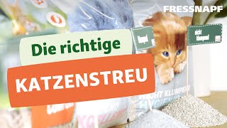 Welche Katzenstreu ist die richtige [upl. by Attalanta978]