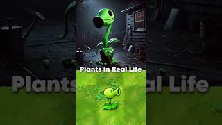 PVZ Plants in real life plantsvszombies funnyshorts pvz funnymoments [upl. by Sileray]