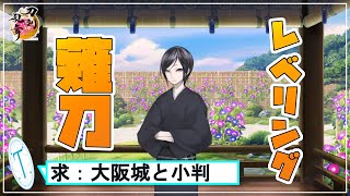 【刀剣乱舞】昨日はお疲れさまでした！残党狩りでまったりレベリング【つばさ 上級者になれぬ中級者】 [upl. by Lubin]