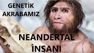 Neandertaller kimdi Nenadertaller ve İnsanlar gerçekten DNAlarının bir kısmını paylaşıyorlar mı [upl. by Cresida]