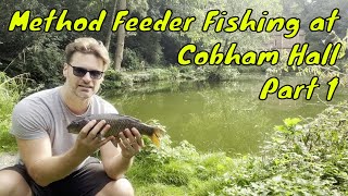 Feeder Fishing at Cobham Hall Part 1 [upl. by Fancie]